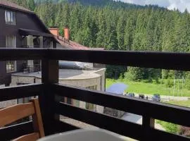 Sun Stream Apartment