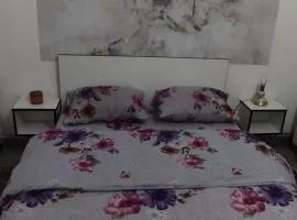 Apartman Jasna,