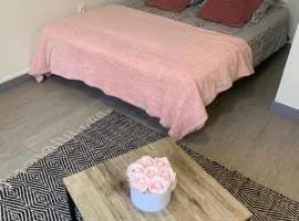 Studio cité gastronomique