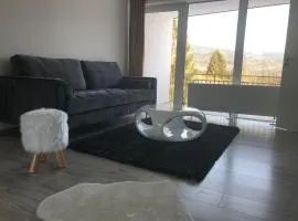 Ferienwohnung im Dreiländereck