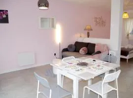 Grand studio La Sensée - Parking privé, Terrasse, Netflix, au calme