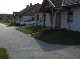 Zielony-Bursztyn