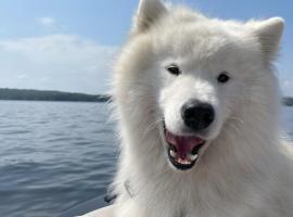 Cottage 10 - King Bed Child Loft w Twin Private Bath Kitchenette Pets Allowed Fee applies, hotell i Wolfeboro