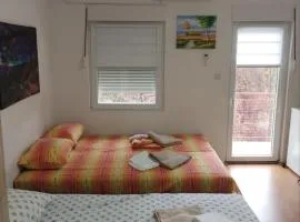 Studio Martin 1 Sokobanja - Park Čuka 2