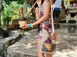 Hayley's Paradise Limited