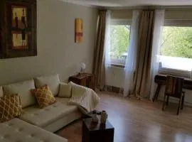 Wiesenglück in direkter Nähe zum Krankenhaus