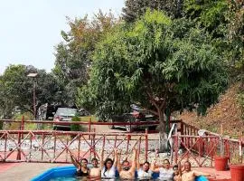 Forest Bliss Resort