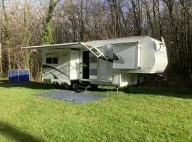 Glamping im Wald