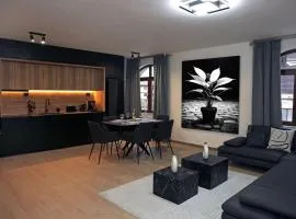 Luxury Apartment 5 Mins from Slopes Parking