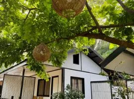 Kasitas Sibaltan