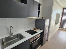 Dpto Studio Chillan Centro