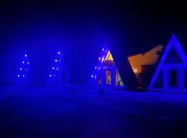 Camp Danis plav