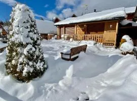 Confortable Chalet pie des pistes Pyrénées 2000