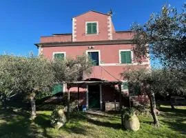 Historical Villa 'The Birdhouse' with Garden and Views