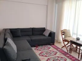 Nehir home