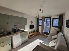 Studio avec balcon vue MontBlanc et parking gratuit le nid daigle