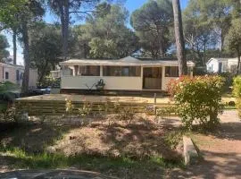 Mobil home