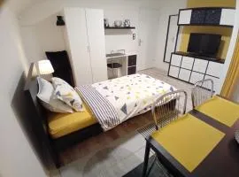PRIMUS mini room