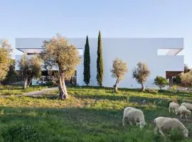 Villa Extramuros