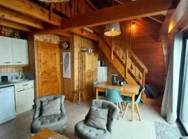 Résidence Means - Superbe T2 avec mezzanine pour 9 personnes sur la station du Réallon MEANS1 MAE-8001