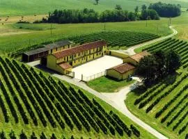 Cascina Fietta - Wine Dreams Apartments