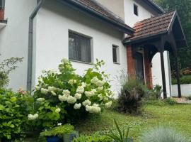 Privatni smeštaj Sobe Branković, hotel v destinaci Gornja Toplica