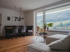 Schwarzwald Loft Panoramablick Menzenschwand