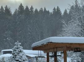 Rooms Hotel Kokhta Apartments, hotel in Bakuriani