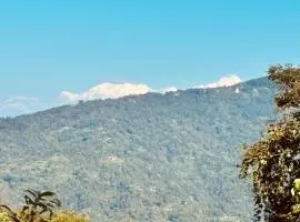 The Jhandi Forest Camping & Huts