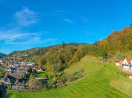 Ferienwohnungen im Herzen des Renchtals, hotel v destinaci Oppenau