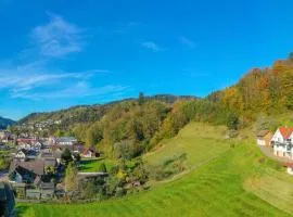 Ferienwohnungen im Herzen des Renchtals