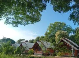 Seeing Green Udawalawa