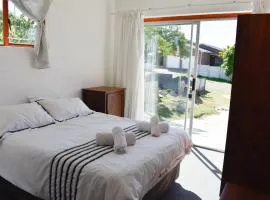 Pikkewyntjie by die See