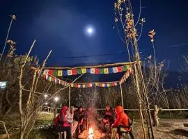 Basecamp Manali