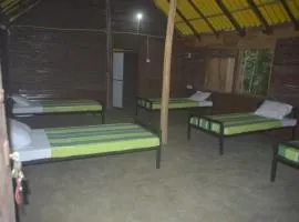 Forest Camping Fun Hostel