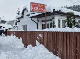 PENSIUNEA CRISTINA, hotel v destinaci Topliţa