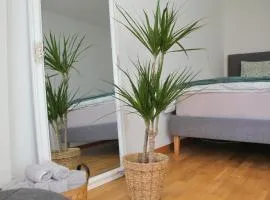 Zentral I 20Min nach Interlaken