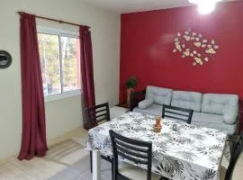 Hermoso Departamento en Quines