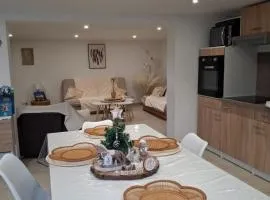 Les châtillonnes 25 minutes du zoo de beauval