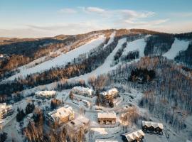 Ski in out at La Halte Mont-Blanc 2，位于Mont-Blanc的乡村别墅