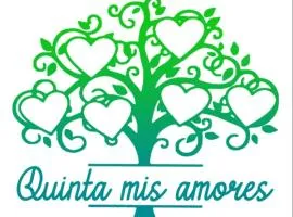 Mis Amores