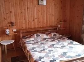 Карпатські ночі Чан на території