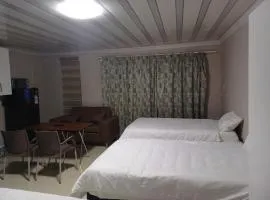 Willow Guest house