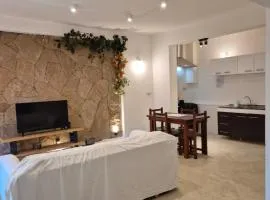 Departamento Centrico SMA