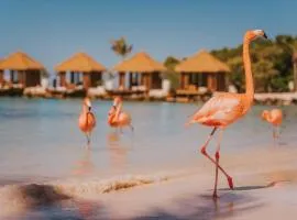 Renaissance Wind Creek Aruba Resort