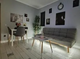 Central Apartment 2 bedrooms Business and Travel Lounge