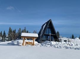 Chalet Charme Bucovina, hotel di Coşna