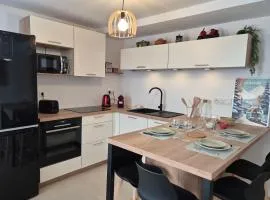 Magnifique appartement vue mont blanc