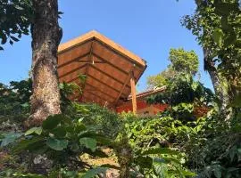 Coorg hill