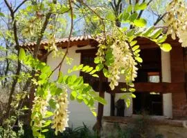 Cabañas Franca Austral